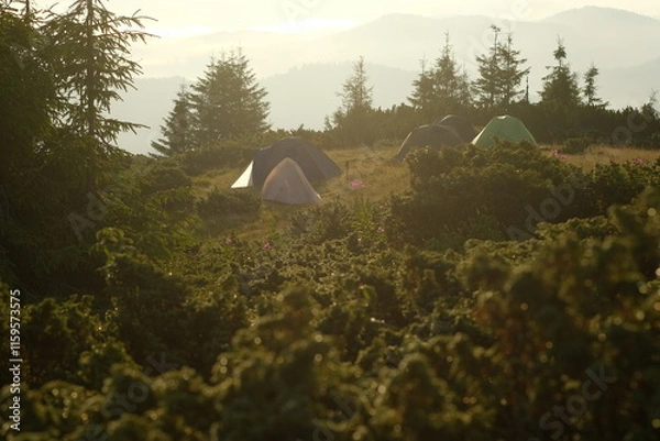 Fototapeta Tourist camp on a mountain meadow on a sunny morning.