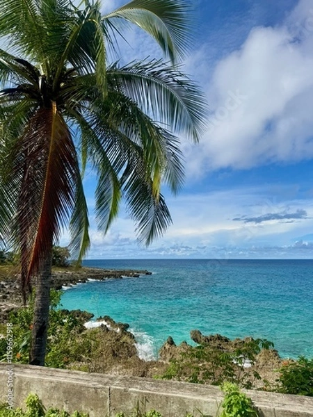 Fototapeta palm trees on the beach