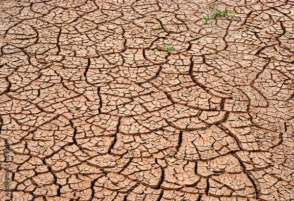 Obraz drought