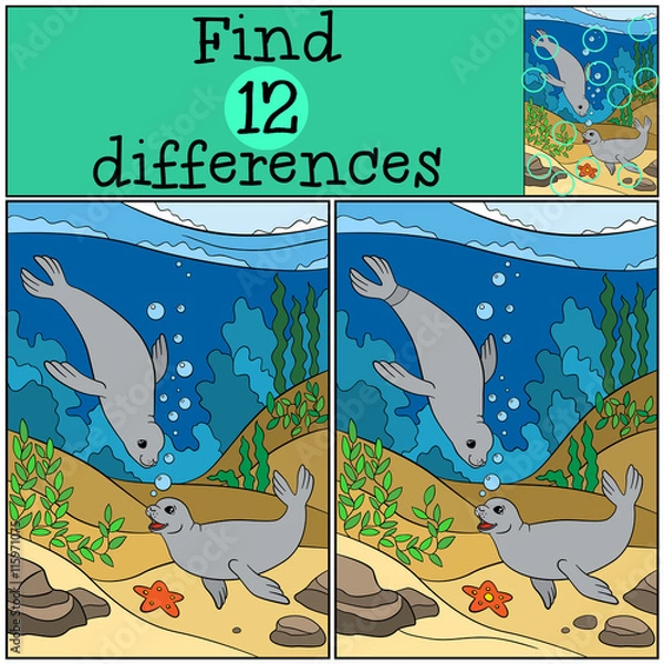 Obraz Educational game: Find differences. Two little cute seals.