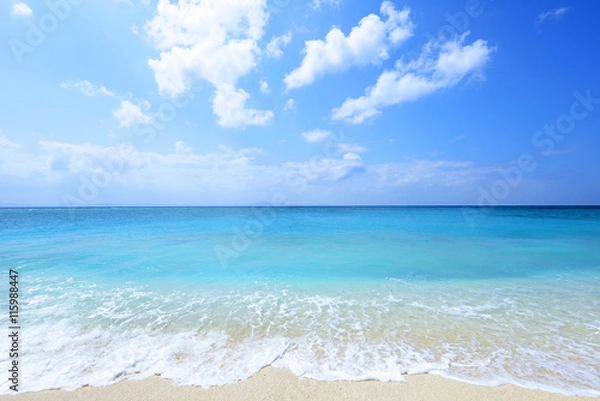 Fototapeta 沖縄の美しいビーチ