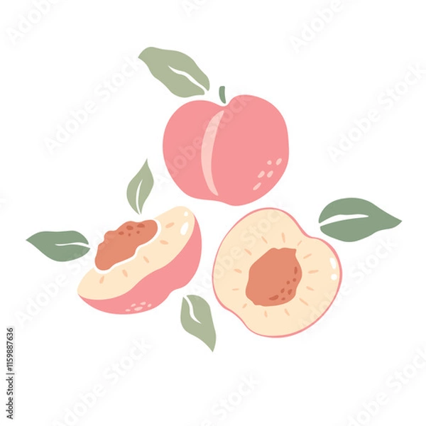 Fototapeta Set of pink peaches vector with leaves. Half, slice and whole shape of peach, nectarine, apricot. Flat design of peaches illustration for fabric, paper, wallpaper, cover, decoration.