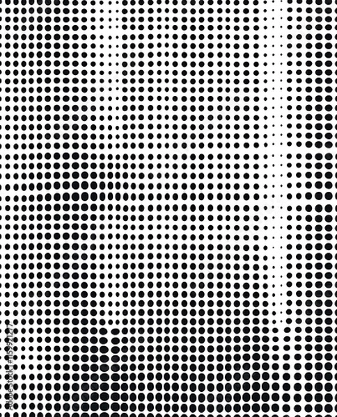 Fototapeta Abstract Black and White Dot Pattern - Geometric Design with Gradient Circles, Minimalist Style Perfect for Modern Art, Creative Backgrounds, Graphic Design, and Digital Prints
