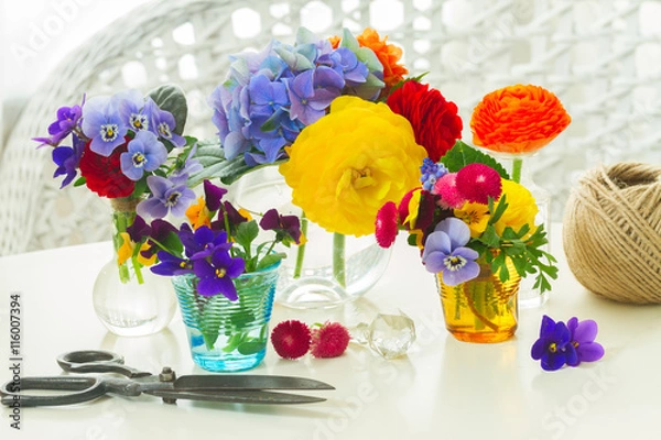 Fototapeta Colorful freshly cut flowers in vases on white table with scissors