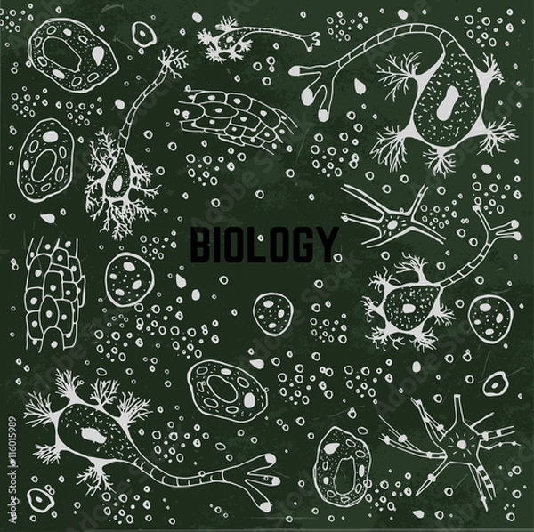 Fototapeta Biological vector Background