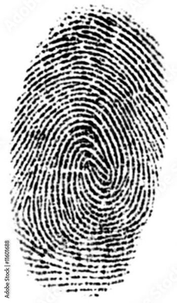 Obraz cyfrowy wydruk