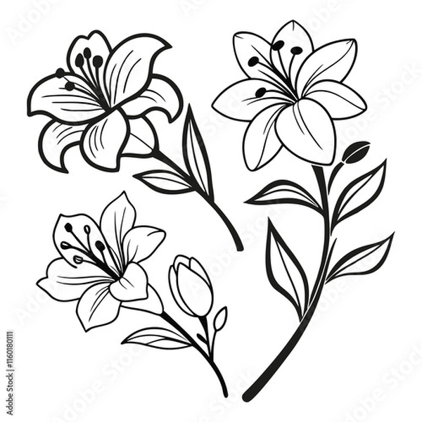 Fototapeta Abstract floral design element white illustration pattern with flowers