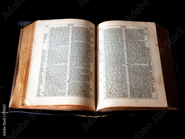 Obraz bible