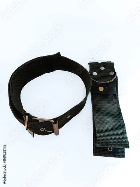 Obraz Dog Collar Dog Belt