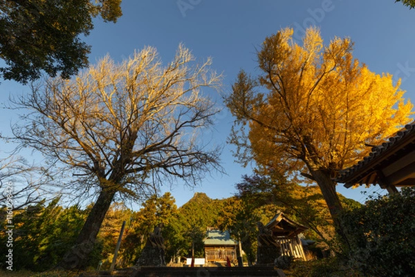 Fototapeta 伊予ヶ岳登山口