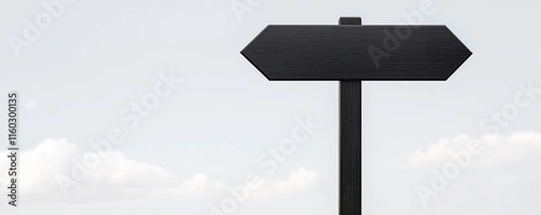Fototapeta A blank directional sign stands against a cloudy sky, symbolizing choices and the journey ahead.