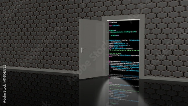 Fototapeta Backdoor to access the code