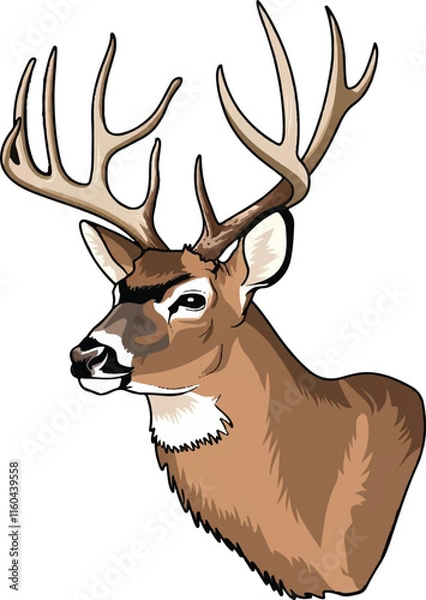 Obraz Realistic white-tailed deer head, 
