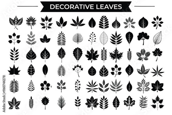 Fototapeta Decorative leaves collection vector,  decorative leaves collection featuring a versatile set of intricate leaf ornaments