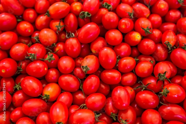 Obraz Group of fresh tomatoes