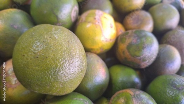 Fototapeta A collection of green oranges in the photo from above