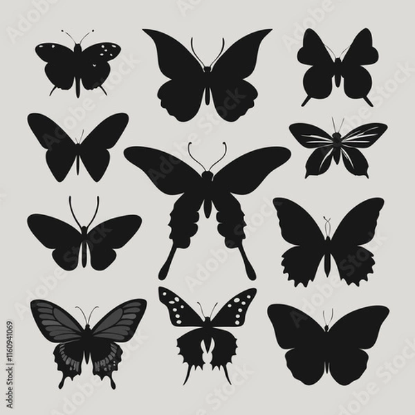 Obraz Butterfly silhouettes various butterfly species vector art illustration