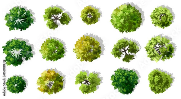 Fototapeta Vector watercolor green tree or forest top view isolated on white background for landscape plan and architecture drawing,plant for environment or garden,botanical element for exterior layout