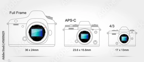 Obraz Digital camera sensor format (on scale 1:1)