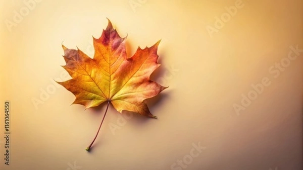Fototapeta A single autumn leaf with vibrant red, yellow and orange colors rests on a warm, golden background.