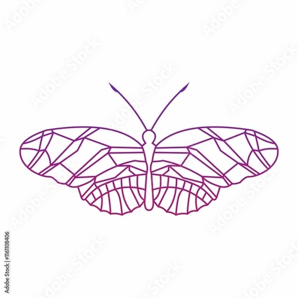 Obraz butterfly