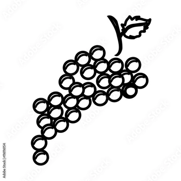 Obraz Delicious and fresh grapes fruit, isolated flat icon design vector illustration.
