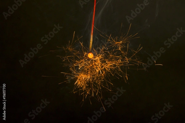 Fototapeta 線香花火