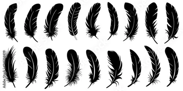 Fototapeta Collection of elegant black feather silhouettes, vector design elements
