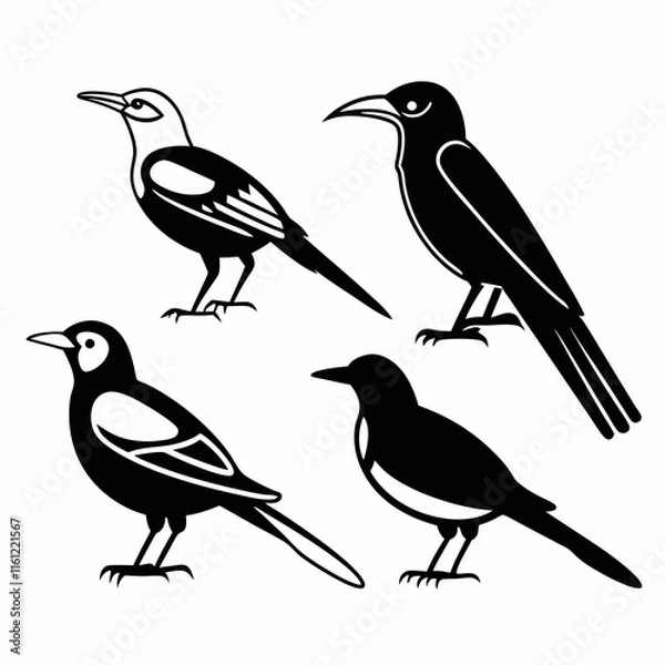 Fototapeta set of silhouettes of birds