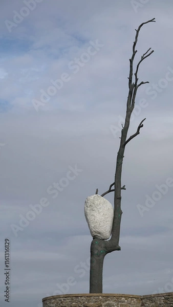 Fototapeta Pierre blanche acrochée au tronc d'un arbre