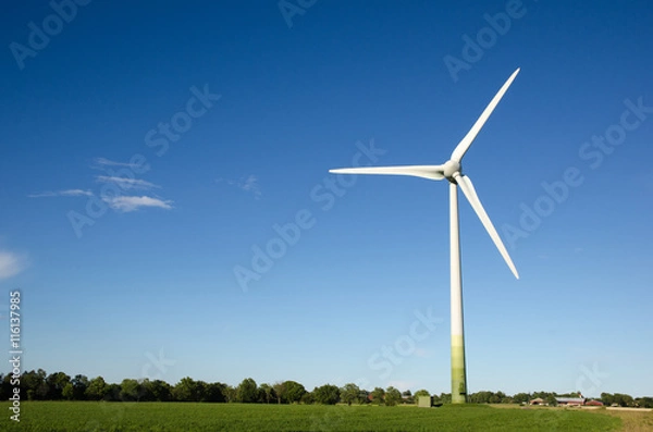 Fototapeta Windmill in a green landscape