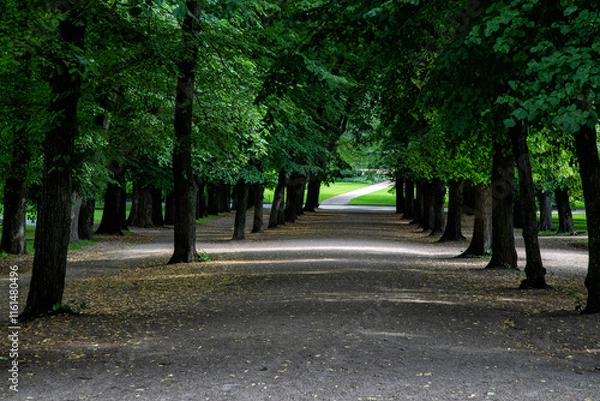Obraz baumallee mitten in oslo