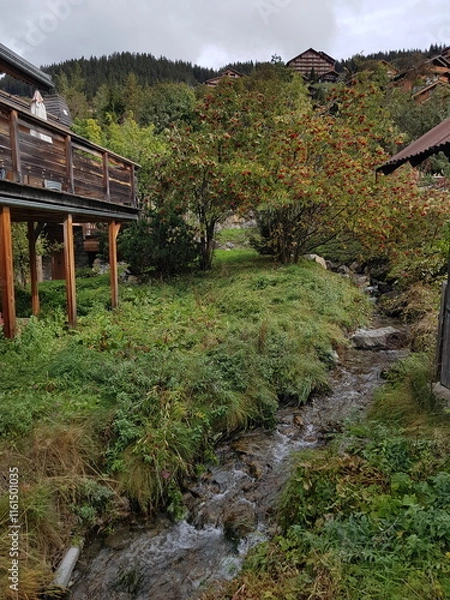 Obraz Chalet de montagne	