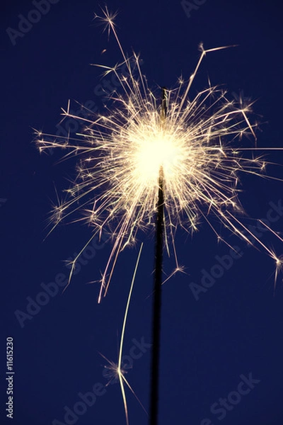 Obraz Sparkler