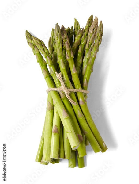 Obraz A tied bunch of asparagus tips isolated on a white background