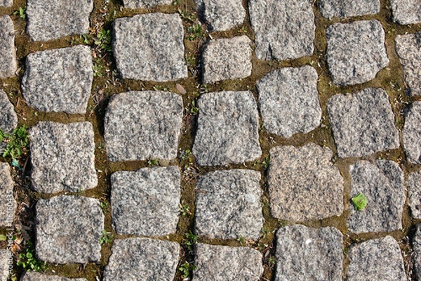 Obraz texture of the pavement and pavers
