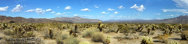 Obraz Wüsten Panorama