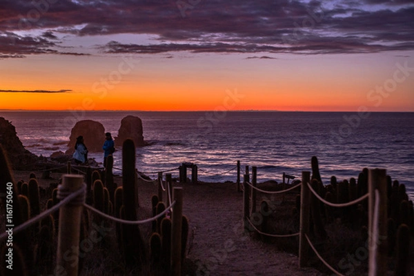 Obraz sunset on the beach