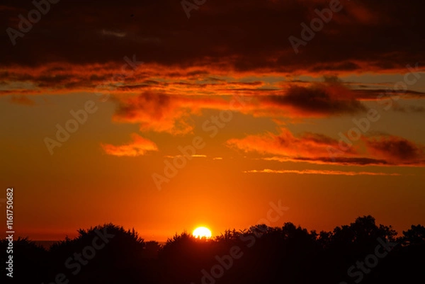 Obraz sunset in the sky