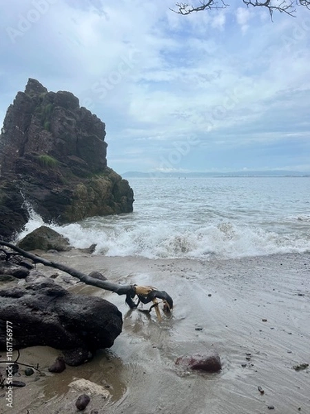 Obraz rocks on the beach