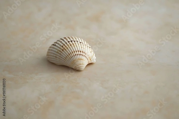 Fototapeta A small seashell lying on a smooth, untextured beige surface.