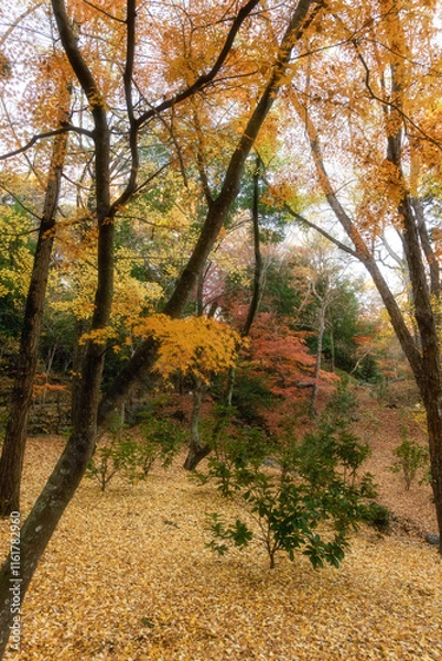 Obraz 紅葉最盛期の成田山新勝寺
