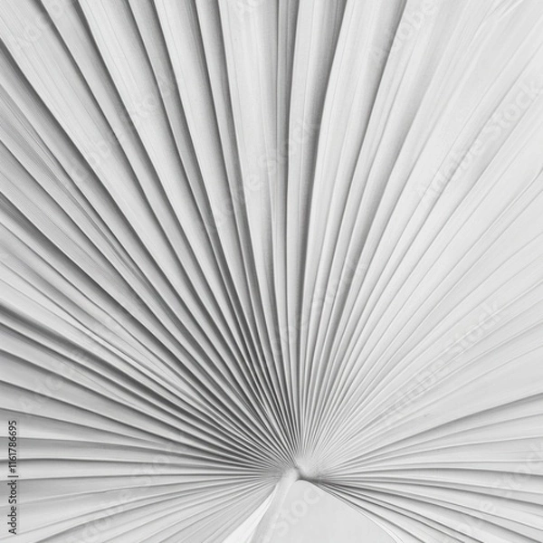 Fototapeta Symmetrical white palm leaf texture with abstract aesthetic, instagram social media content marketing