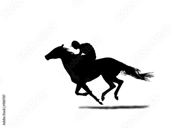 Obraz jockey