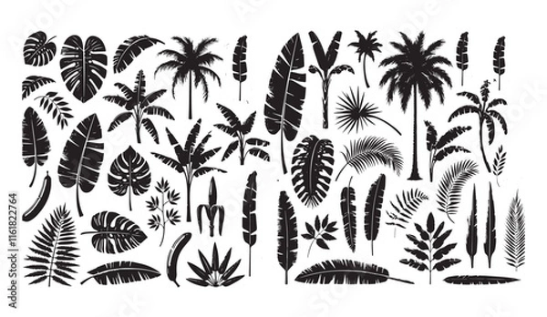 Fototapeta Set of realistic black silhouettes featuring tropical palm trees, branches, separate banana leaves, and talipot, all isolated on a clean white background for versatile design use.