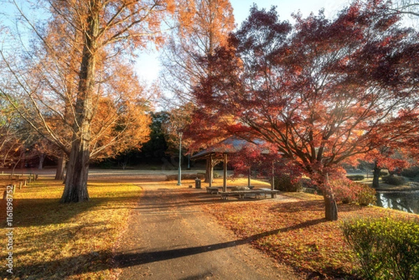 Fototapeta 茨城県水戸市　茨城県立歴史館の紅葉とサギ

