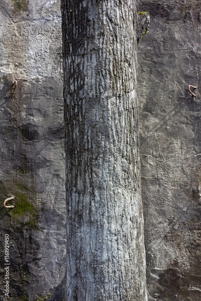 Obraz Raw Cement Plaster Concrete Surface Texture