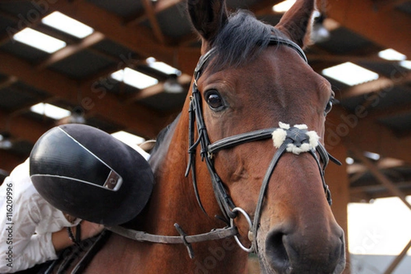 Obraz Relation ce confiance