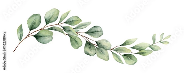 Fototapeta Watercolor vector wreath with green eucalyptus leaves and branches. Greenery clipart for wedding invitation, greeting cards, save the date, stationery design. Hand drawn illustration.