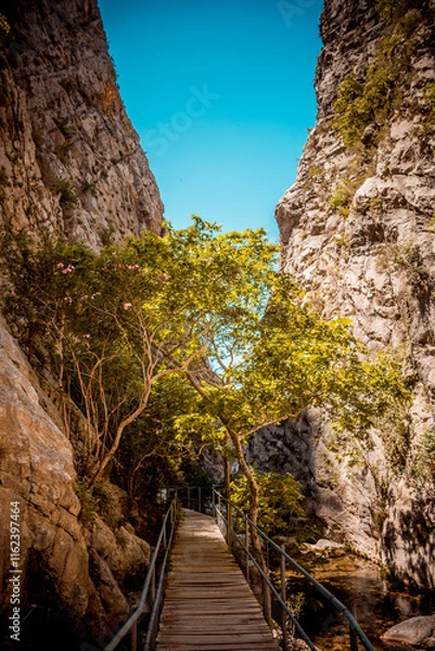 Fototapeta Rocky Cliffside Surrounded by Lush Greenery under a Clear Sky
